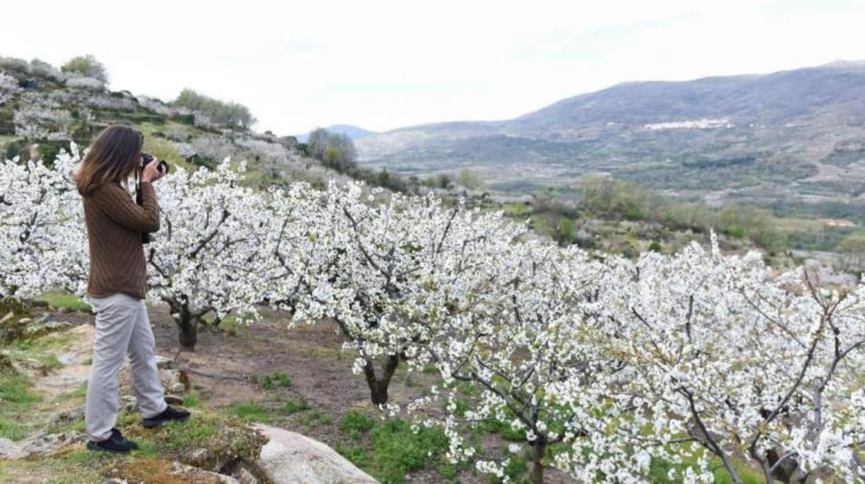 El Rincon De Markesa بلاسينثيا المظهر الخارجي الصورة
